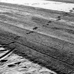 ...  cyklistom zakázaný