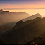 Zlátnoucí hřebeny