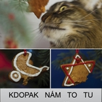 chycena při činu