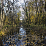 Dunajská nížina-1