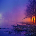 Magie ledu a světla