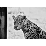 zasnený pohlad do výkladu s potravinami....