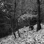 strom, strom, strom, strom, ....