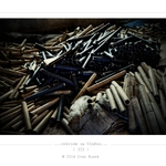 ...rekviem za Vlněnu...  ( III )