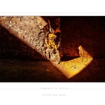 ...rekviem za Vlněnu...  ( VI )