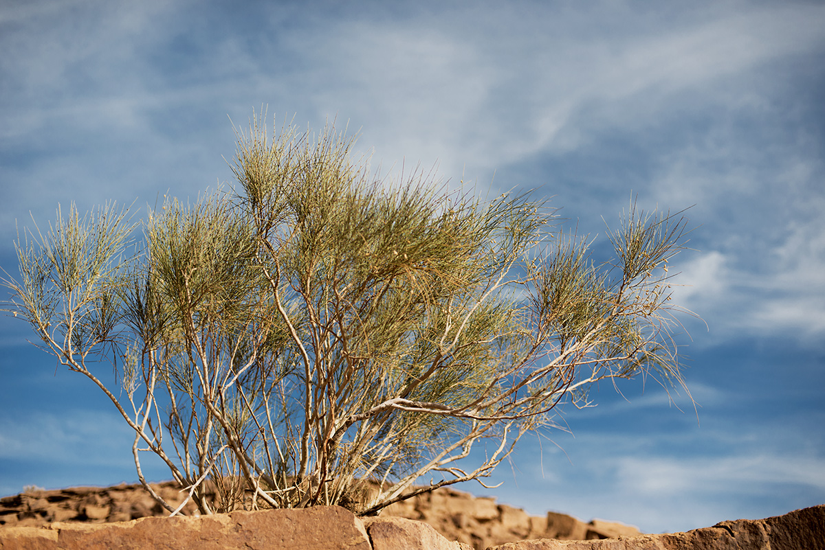 ..wadi..
