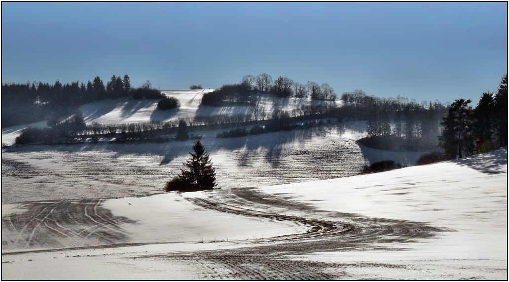 Kocoury .....