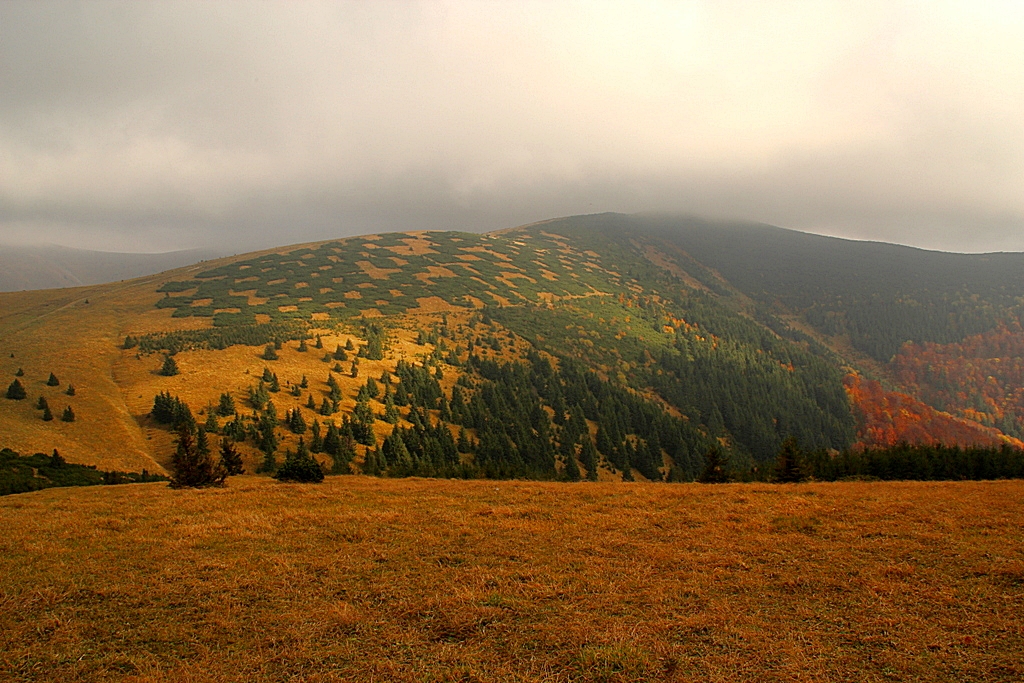 VeľkoFatranská šachovnica