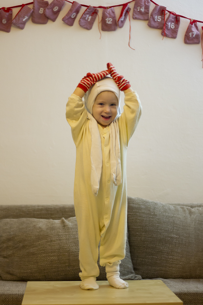 Vianočný škriatok.