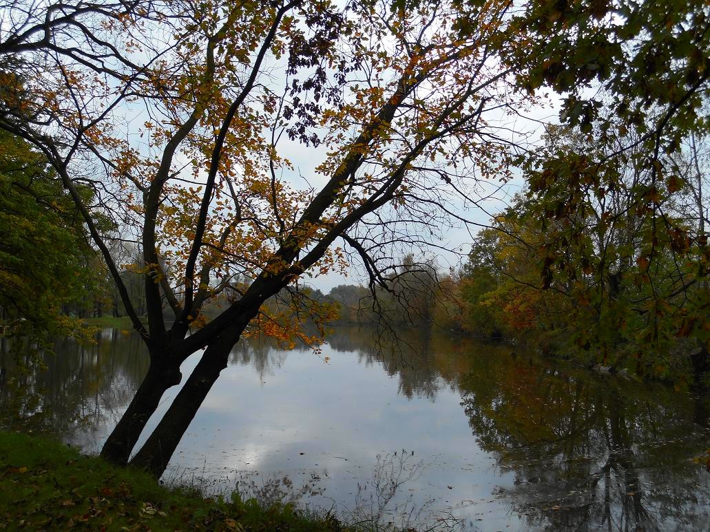 rybník