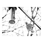 letí doplnit palivo