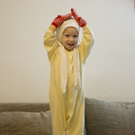 Vianočný škriatok.