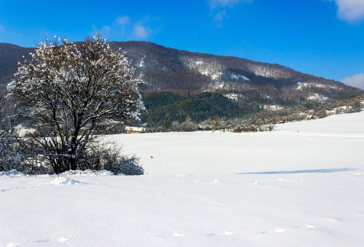 Krajina