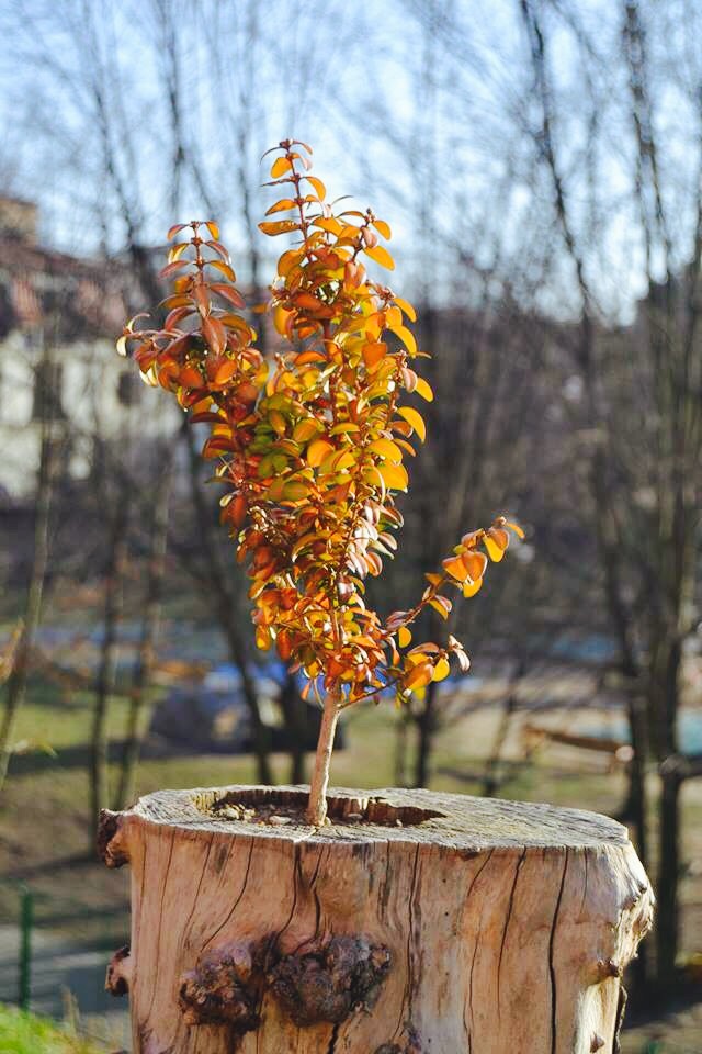 I v maličkostech je radost