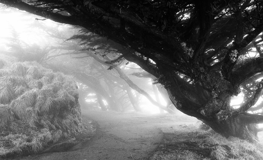 Point Reyes