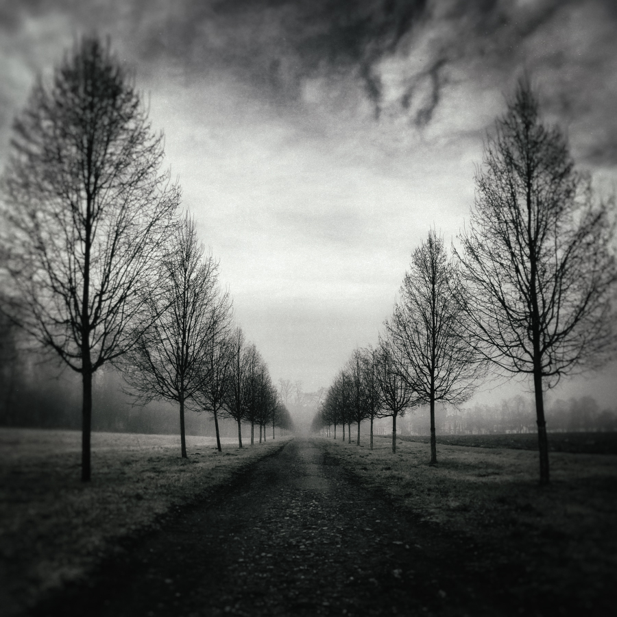 Návraty do veltruského parku XXXV