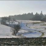 Vejělap v mlžném oparu ......