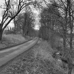 Tudy příjde jaro .....