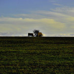 minimalismus ala Prudik :)