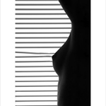 O nezbedné žaluzii...