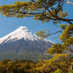 Sopka Osorno, Chilská Patagonie