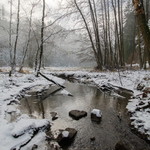 Zima v Podtroseckém údolí (Český ráj)