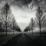 Návraty do veltruského parku XXXV