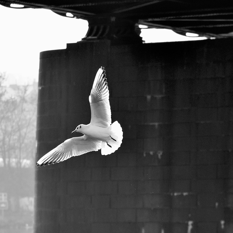 pod Železničním mostem