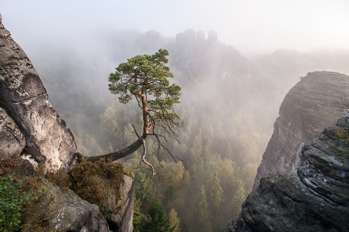Mlžné Bastei