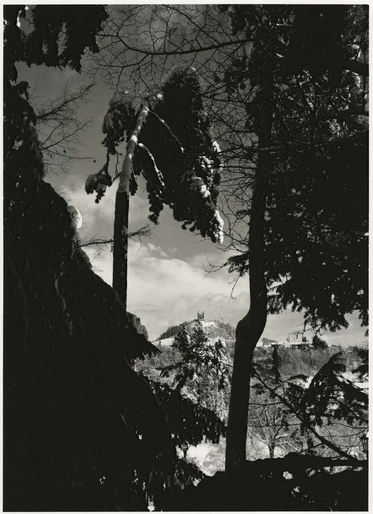 Kalvária Banská Štiavnica