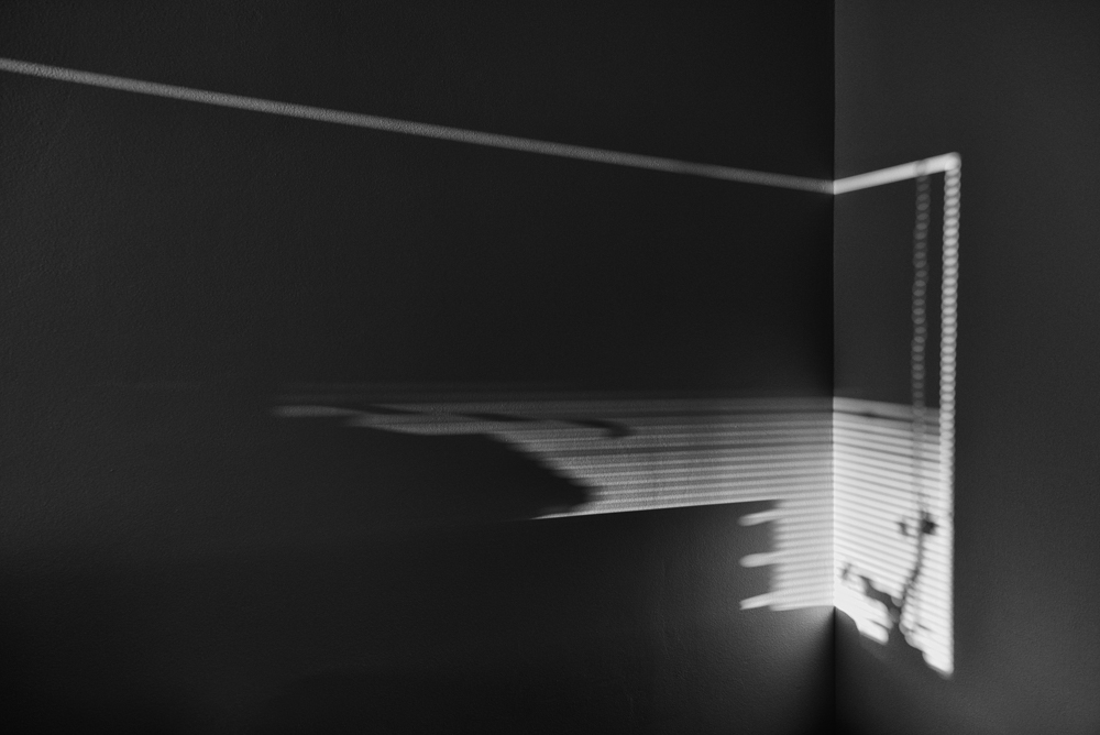 MoML 23. března 2015