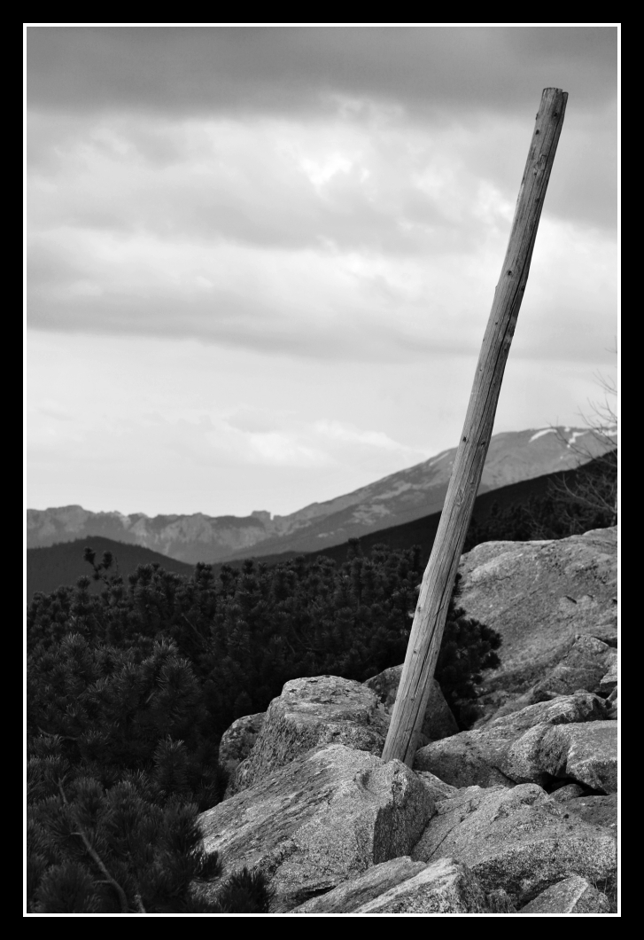 Cesta