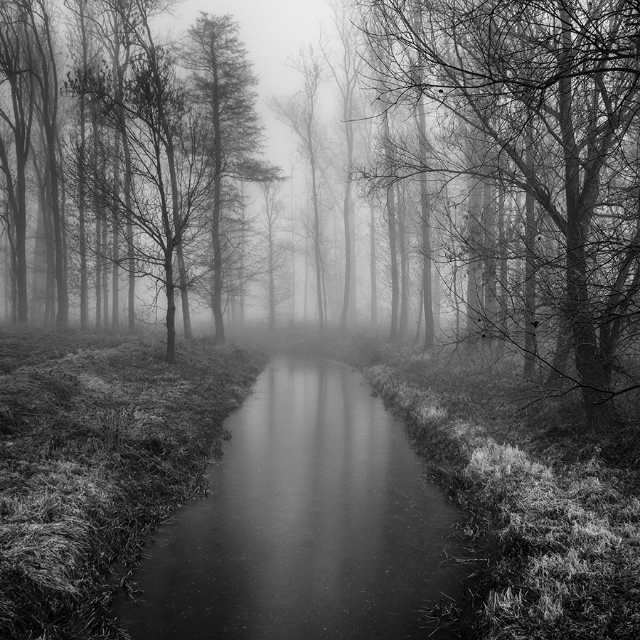 Návraty do veltruského parku XXXVI