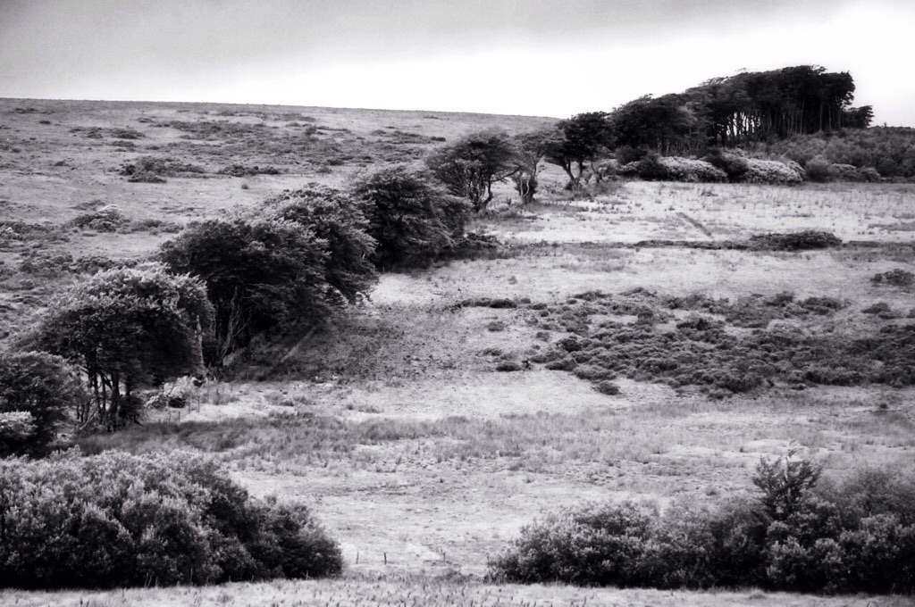 Dartmoor