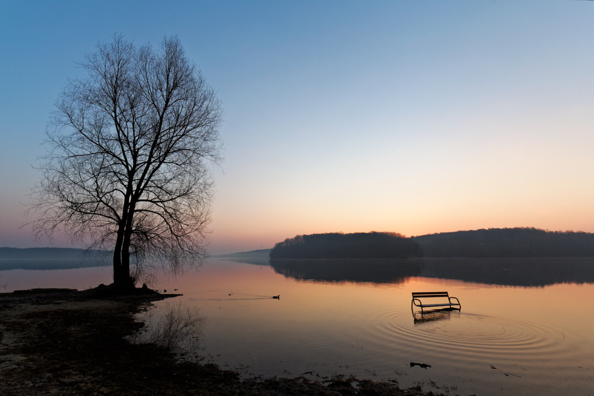 Zápisník zmizelého