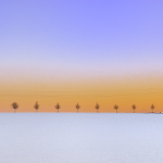 S napětím očekávám jaro !!