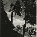 Kalvária Banská Štiavnica