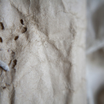 Papír a zub času 2