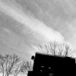 prvopocatky zralych dnu