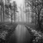 Návraty do veltruského parku XXXVI