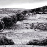 Dartmoor
