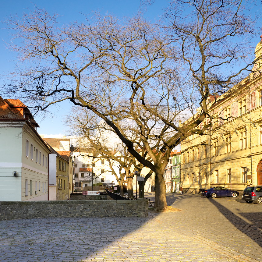 Wernerovo nábřeží