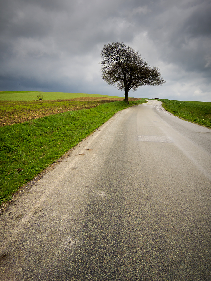 Zase strom...