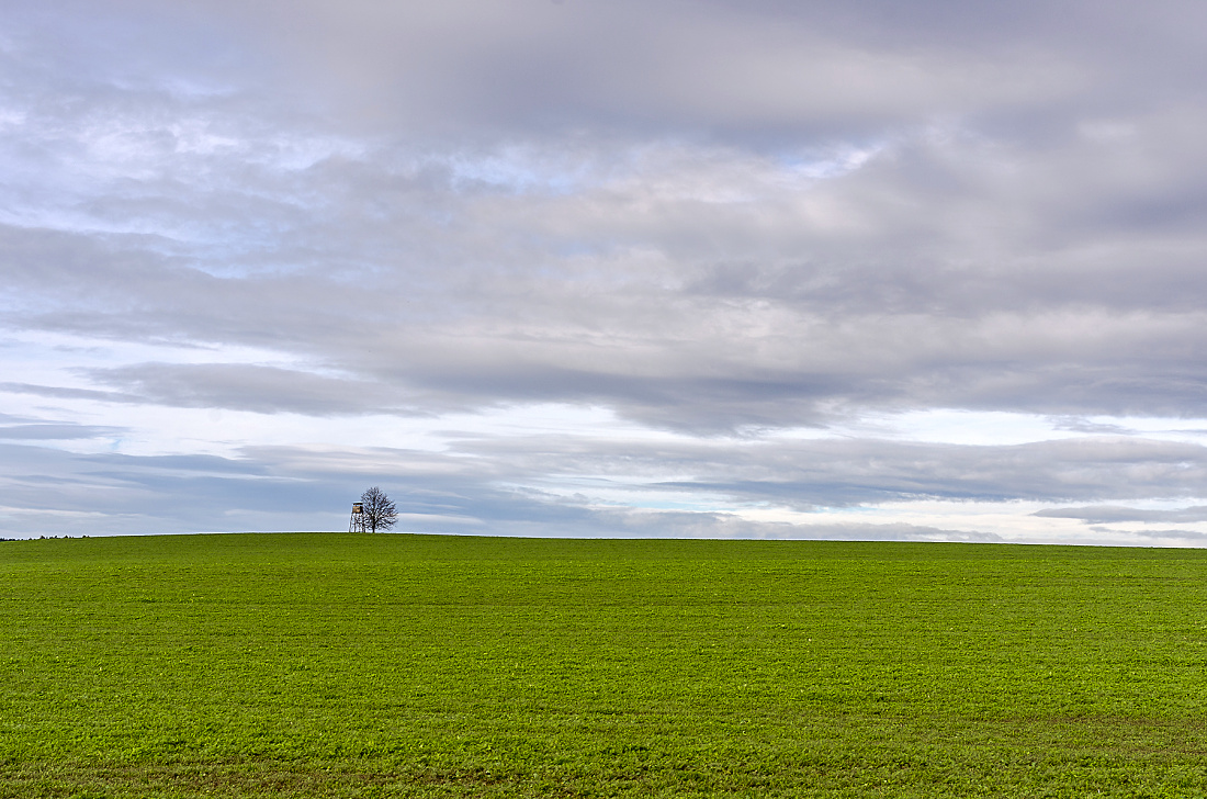 Horizont