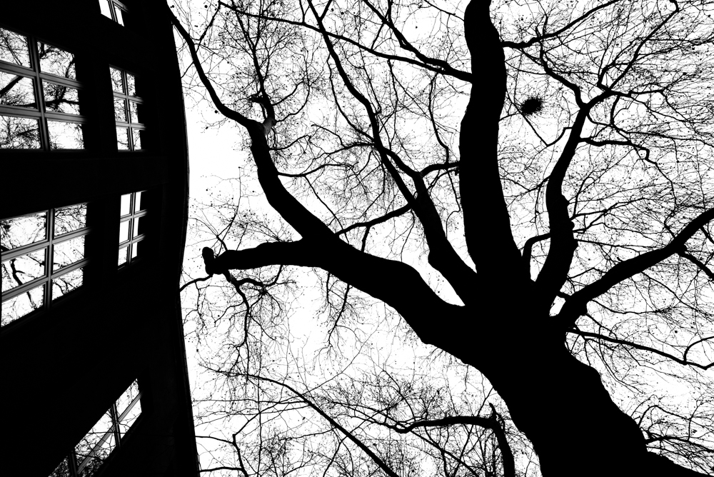 Skrz naskrz optimistické jaro - MoML 8. dubna 2015