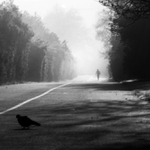 ráno v Letenských sadech