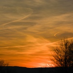 Tahy štětcem aneb piloti malířem...