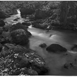 Kráľová podvečer...