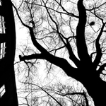 Skrz naskrz optimistické jaro - MoML 8. dubna 2015