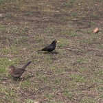 Když rozvod, tak rozvod!